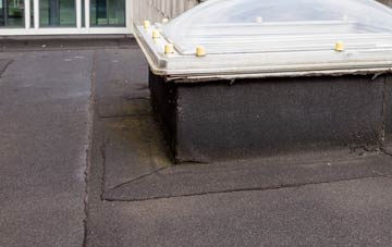 disadvantages of Sandfields flat roofs