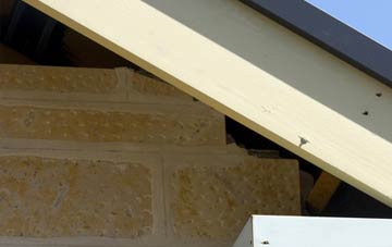 soffit repair Sandfields