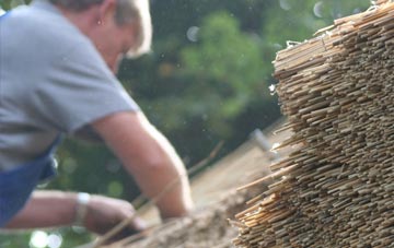 professional Sandfields thatchers